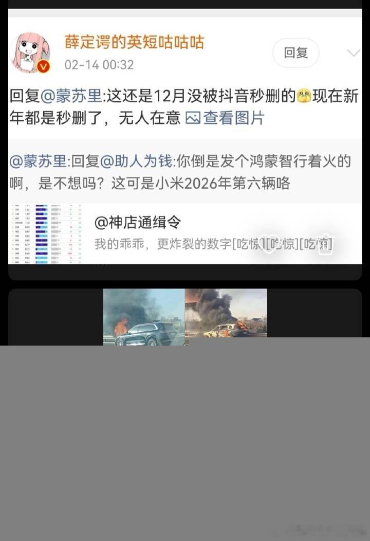 过年也不干人事，再多造谣一些，加大力度。造谣友商是没法让汽车变得更安全的。 