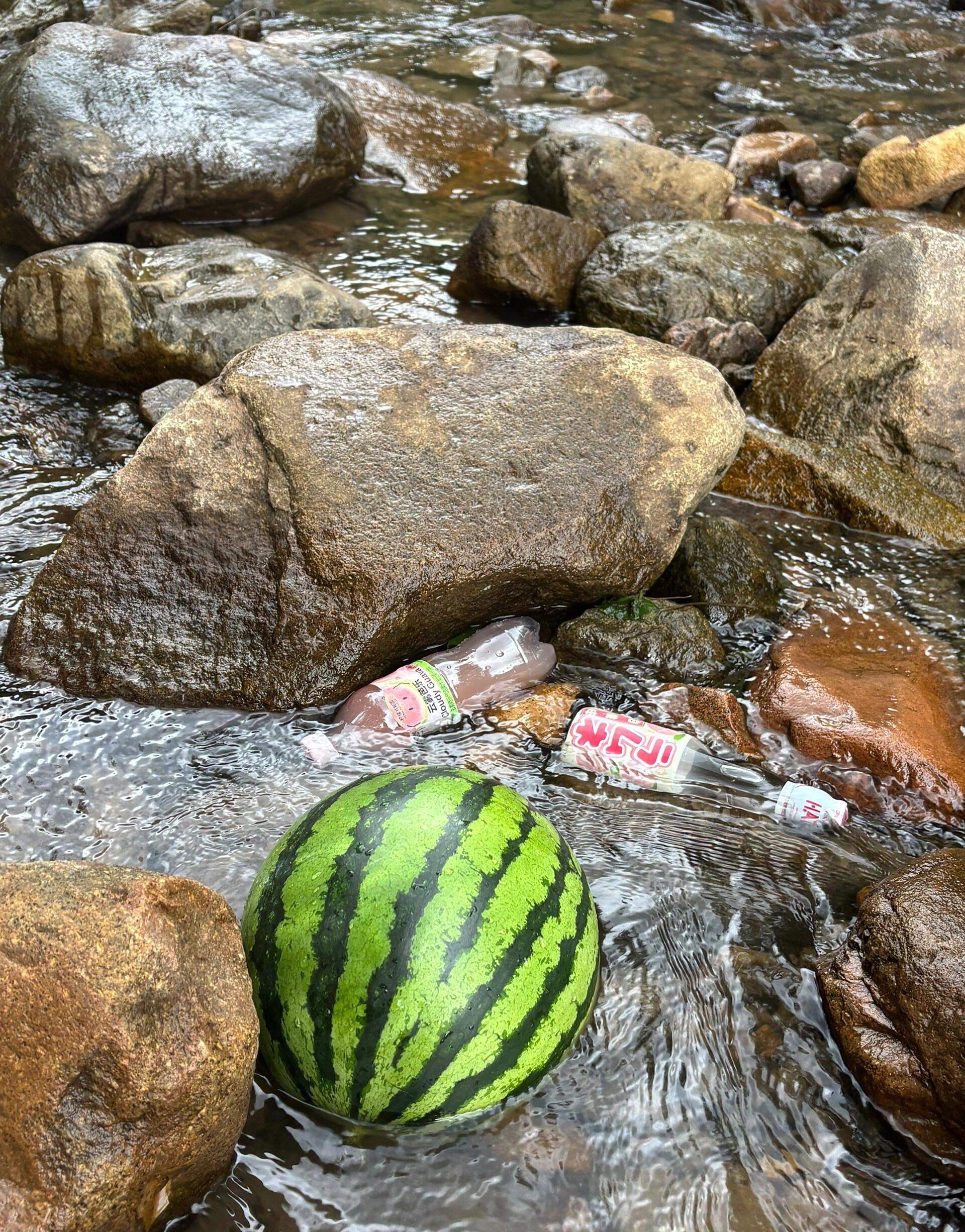 除了纳系，其它打野的我暂时不玩了，找不到节奏和感觉了，索性休息几天。当个吃瓜群众