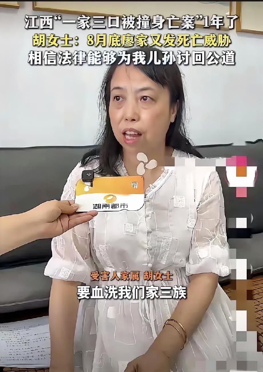 景德镇“一家三口被撞身亡案”的进展始终牵动人心，不少网友对案件延期充满疑惑与关切