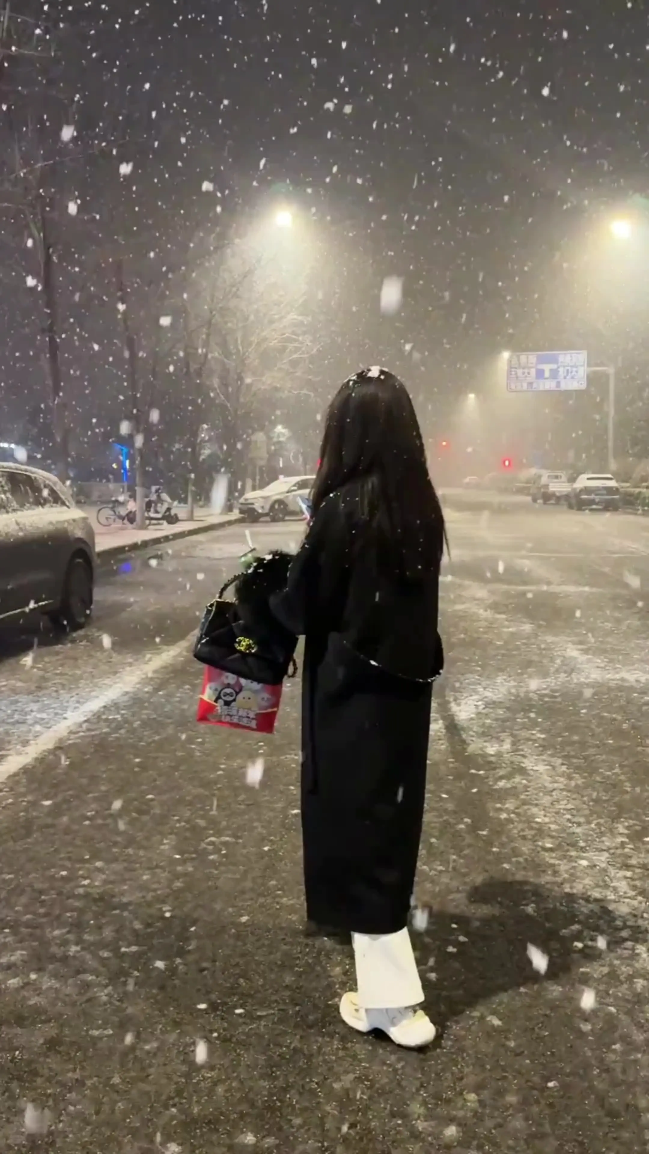 忽有故人心上过，回首山河已是秋。 他朝若是同淋雪，此生也算共白头。白头...