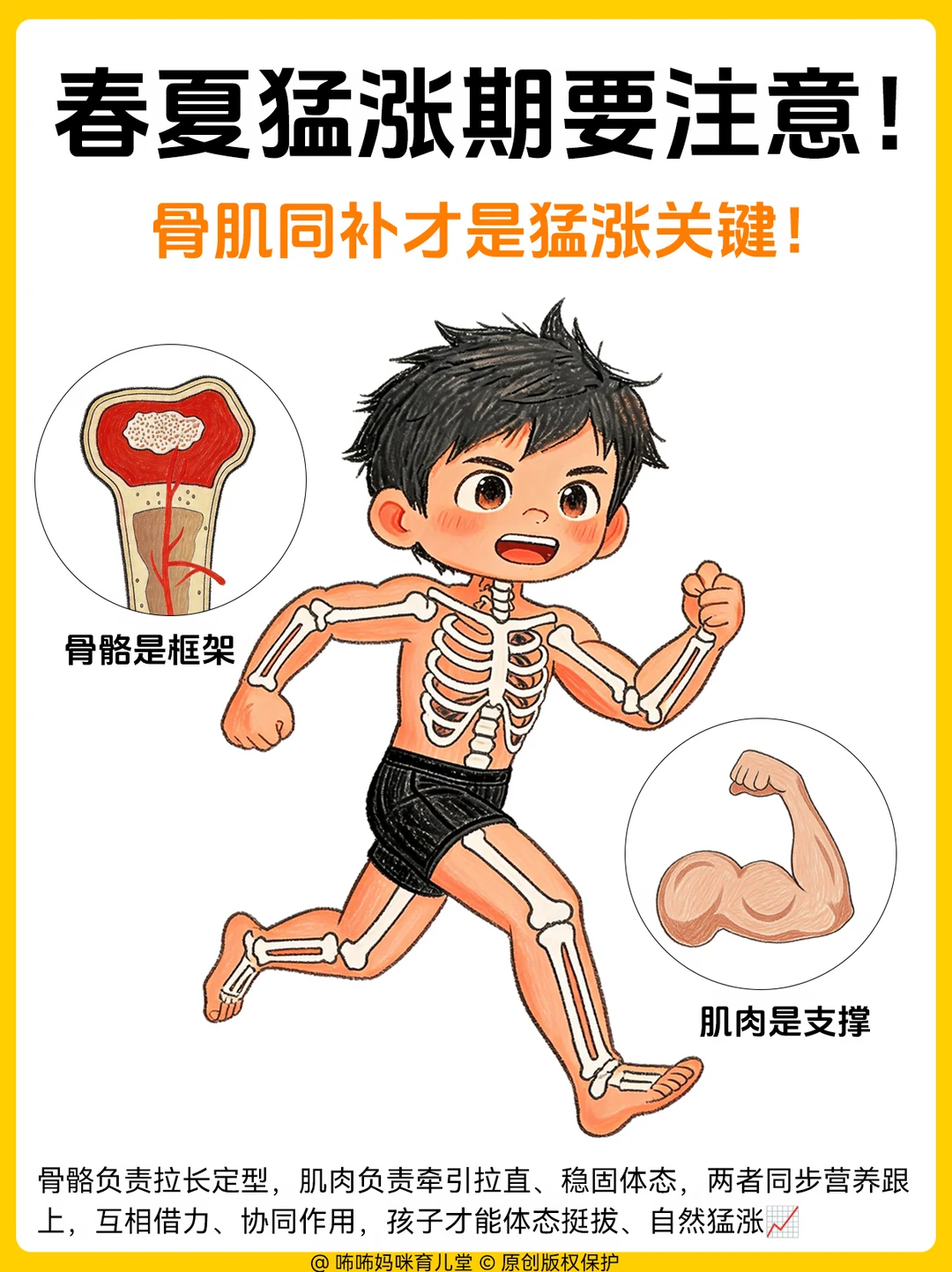 春夏别只傻傻补钙！肌肉一起才是猛涨关键✅