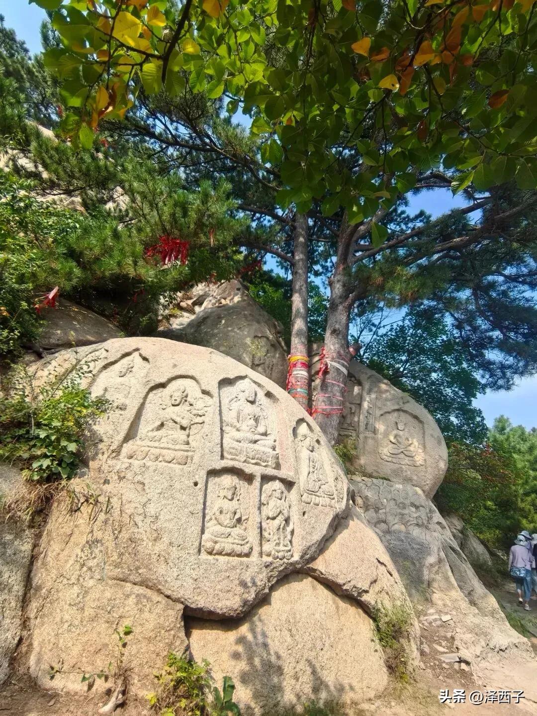 阜新海棠山本周停止对外开放，具体时间是周三到周五，想要去爬山的提前做好规划。很多