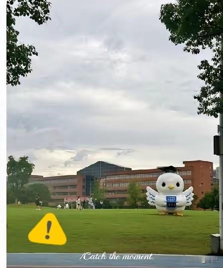 顶不住了！
宁波大学搞了场留学生专属招聘会，这事儿传开后舆论不小。事情发酵后，校