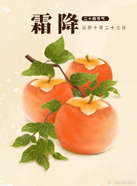 秋之终章，好柿成霜！ ​​​