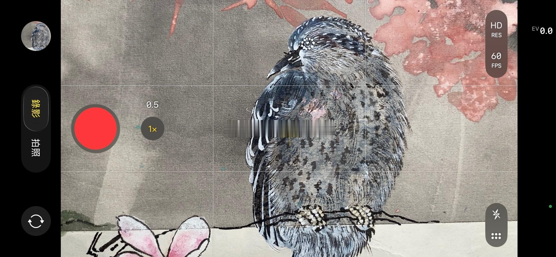 国画  🐦🎨 北京