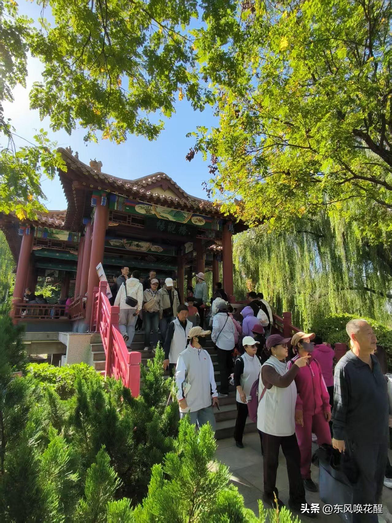 岁岁重阳，今又重阳，登高览秋光，且惜人间烟火长。
重阳节，登高赏景是传统习俗。市