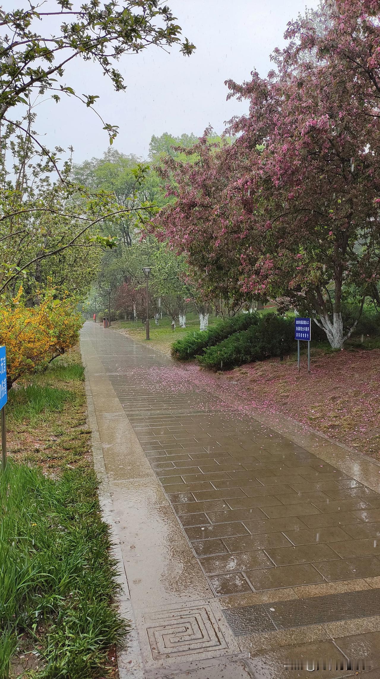 出门遇雨，穿公园而过

雨中踏步元大都遗址公园
 
细雨斜侵古城墙，苔痕湿，柳丝