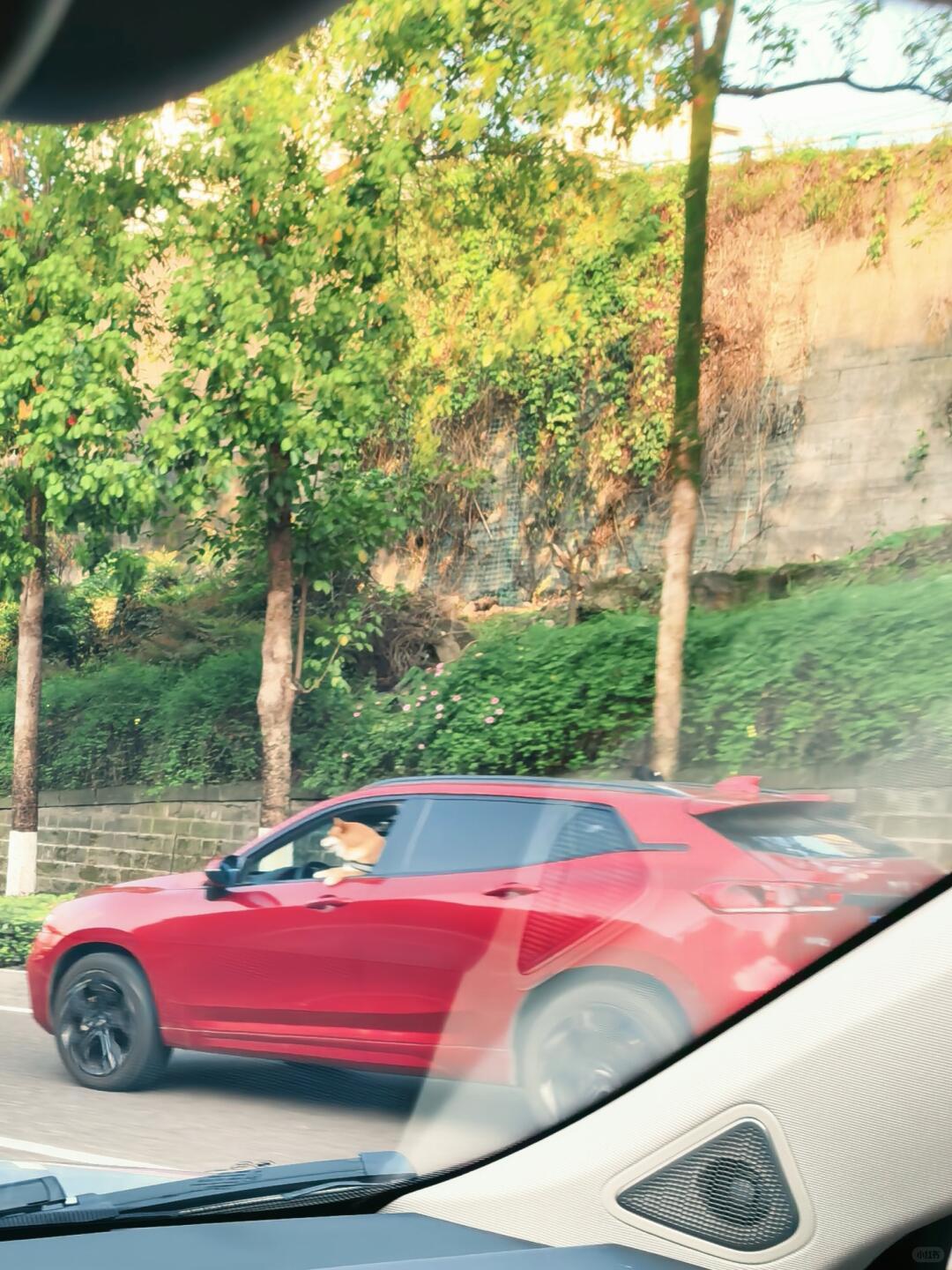 速度70迈，心情自由自在。大家早啊！四月的努力要开始了。 