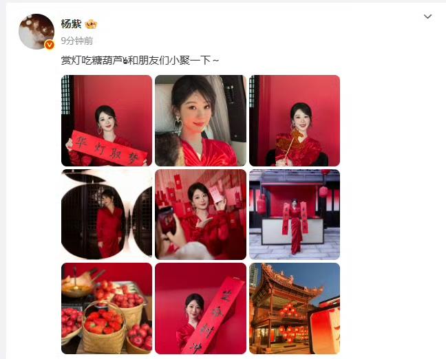 杨紫小聚赏灯晒九宫格 三部剧登央视片单成最大赢家
 
年味这不就来了！杨紫晒出和