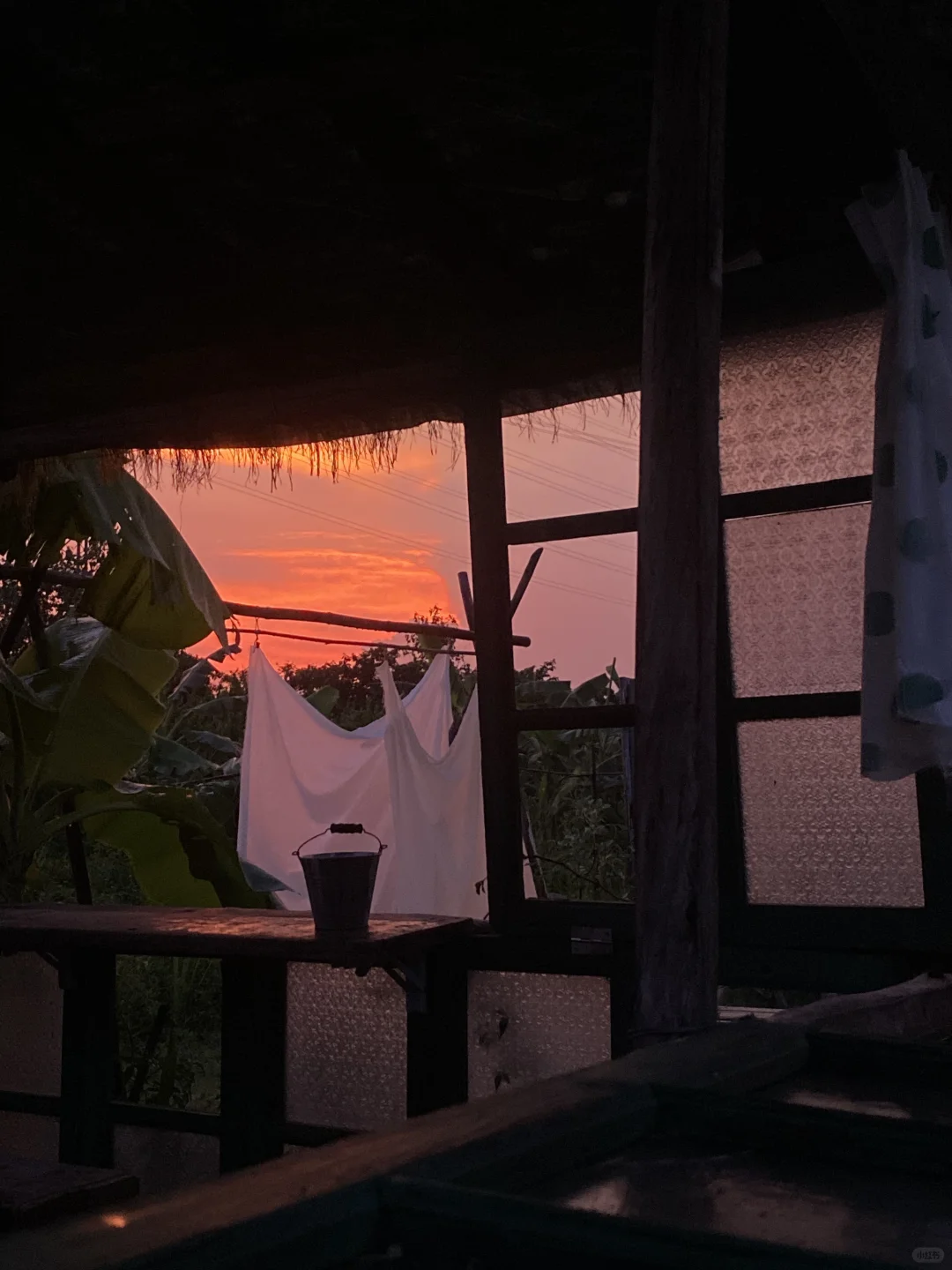 今日农场的雨后晚霞