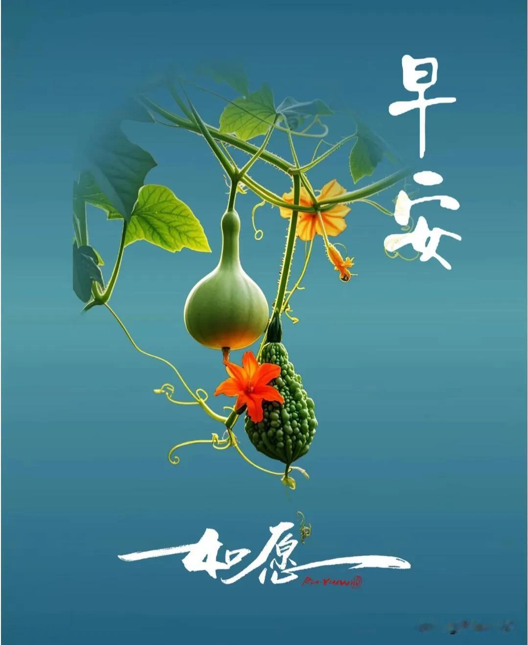 清晨第一份温柔赠予你，好好开启崭新一天。