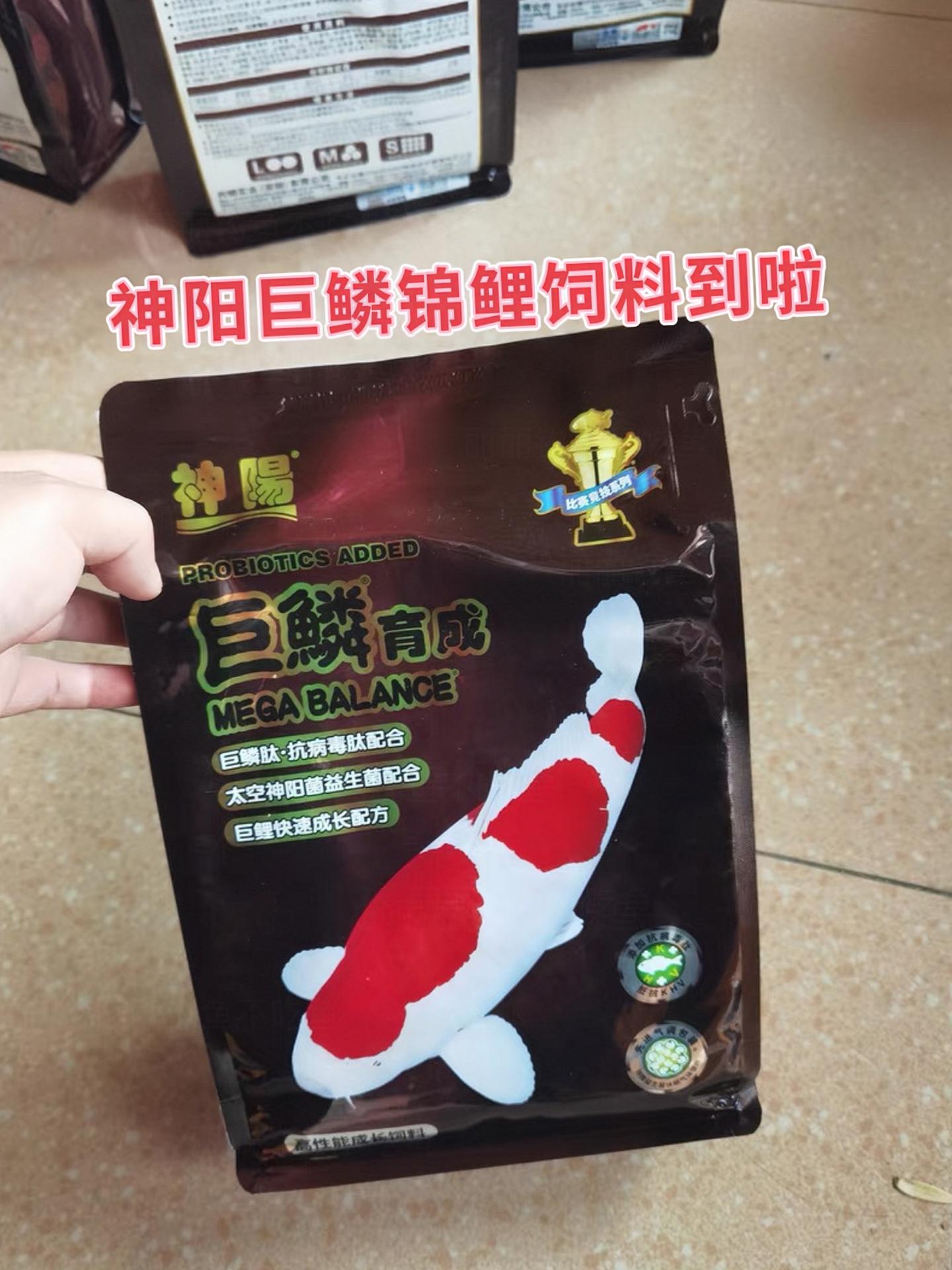 想让锦鲤鳞片惊艳众人？神阳巨鳞锦鲤饲料，含巨鳞肽与抗病毒肽，结合太空神...