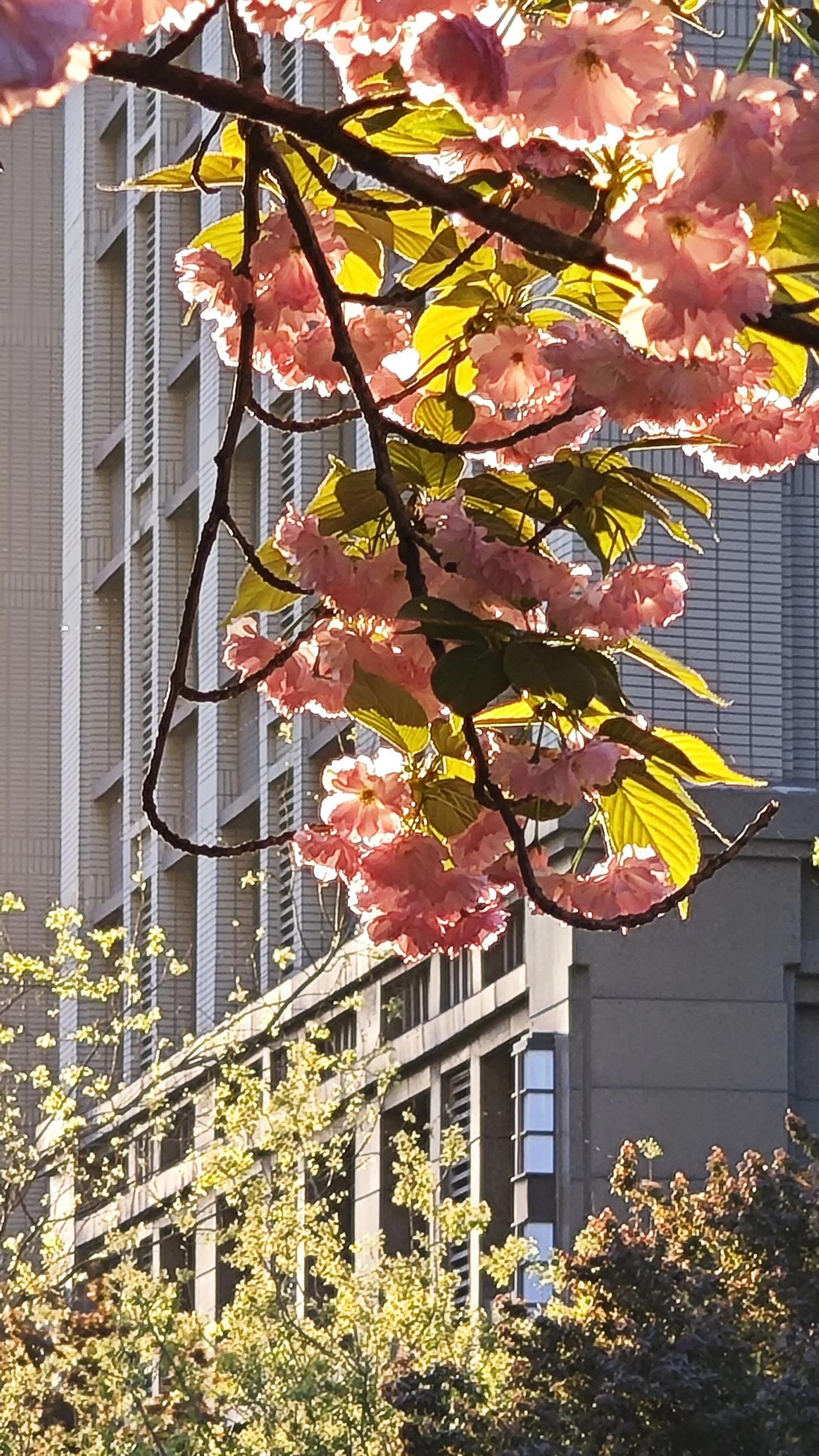人体自己的修复能力真是太强大了。我以前不信，直到这4件事发生在我身上。

你发现
