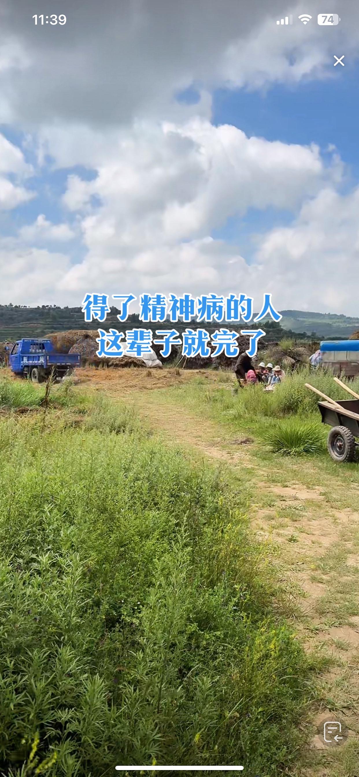 农村收割的时间到田间地头实拍现场 随拍 记录真实生活 伙伴计划