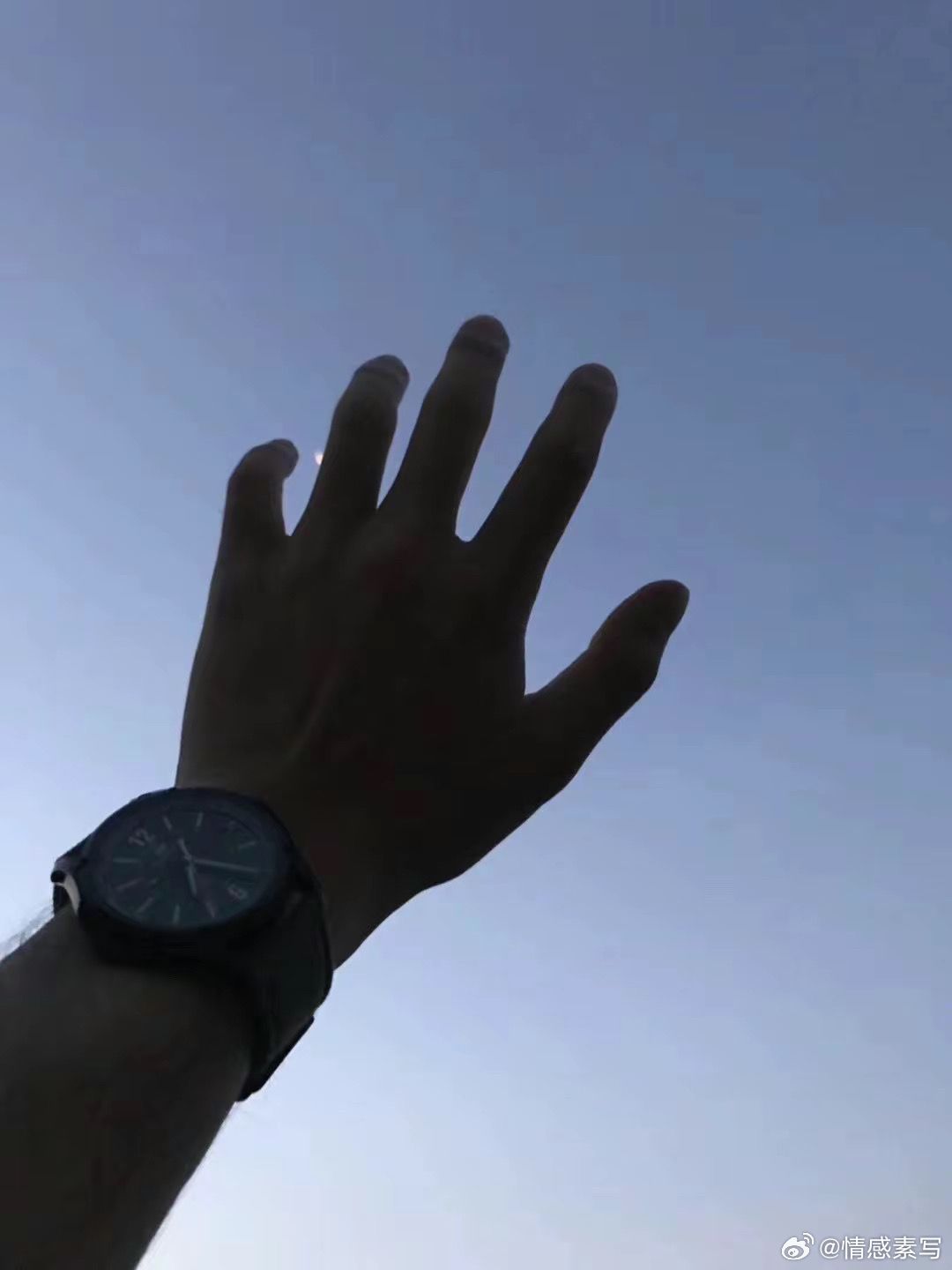 随手拍请记得我很认真的爱过你，这段感情我尽力了，很遗憾失去了你，你没错，是我没有