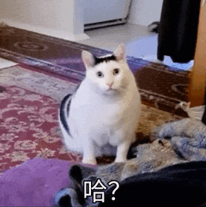 #厦门的冬天在哪里# 有谁会懂在11月份还穿着短袖四处吹空调的感觉！北方的风啥时