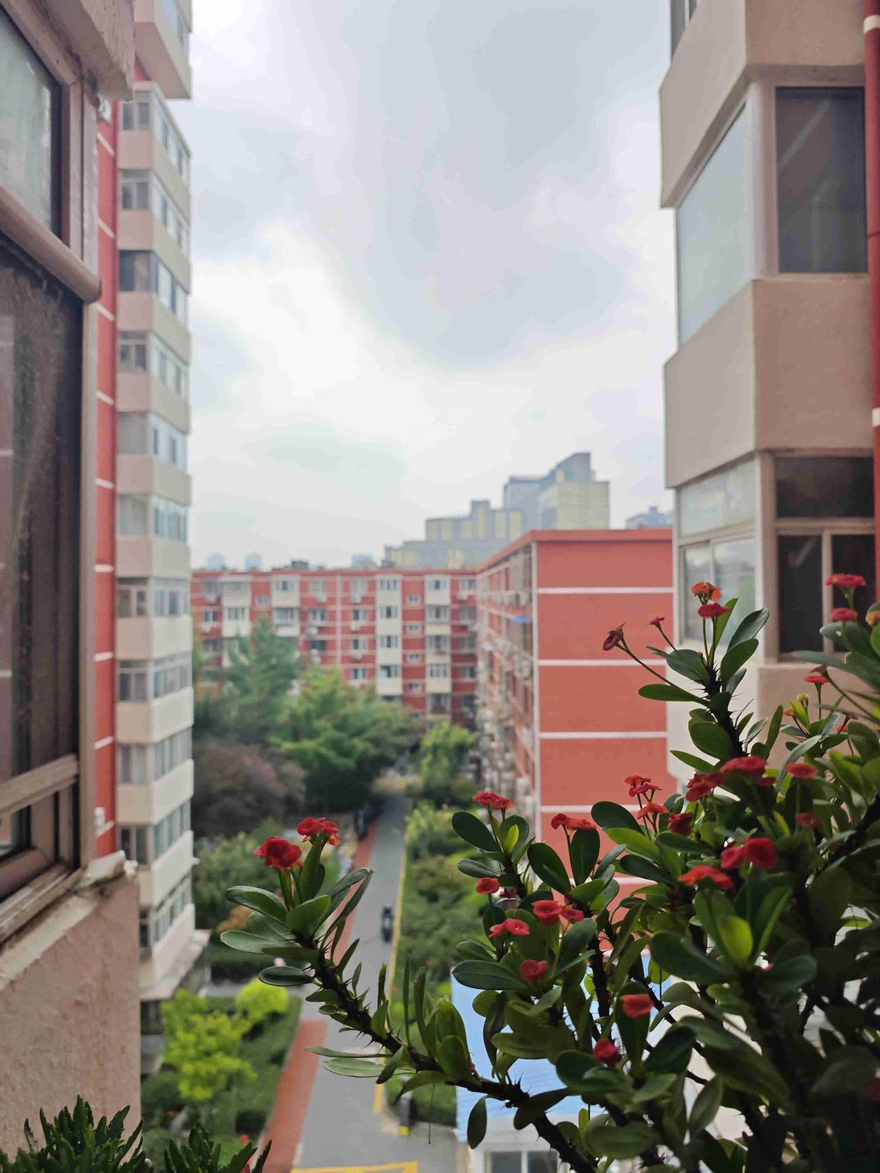 我的今日状态：😁轻松愉快
我这里的天气：🌤️多云 有雷阵雨
