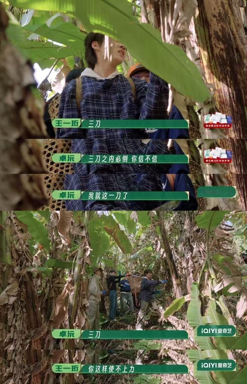 种地吧第四季开播 卓沅试水之后改口三刀的那个自信，不是装的是真的觉得没问题。结果
