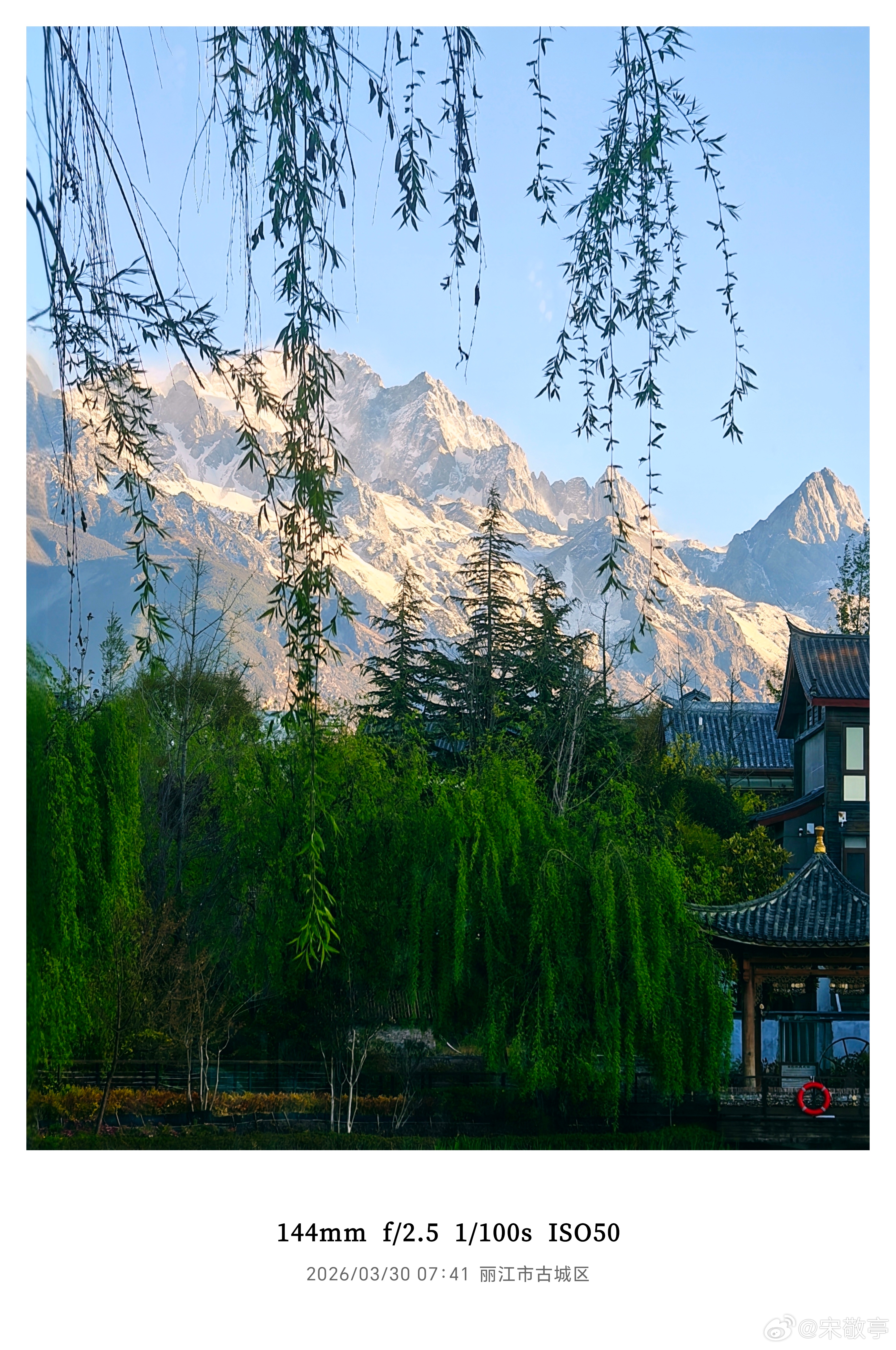 早安，丽江！雪山以冷峻的姿态矗立，绿茵用柔软的绿意回应。一冰一草，一刚一柔，在丽