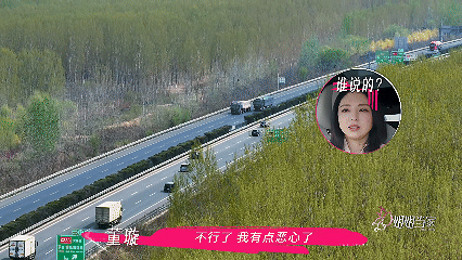 董璇张维伊度假变渡劫上一秒欢呼下一秒晕车，董璇张维伊这反差感绝了，这波连锁反应给