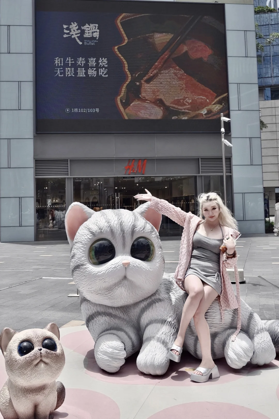 珠海！！！猫咪出没！！！