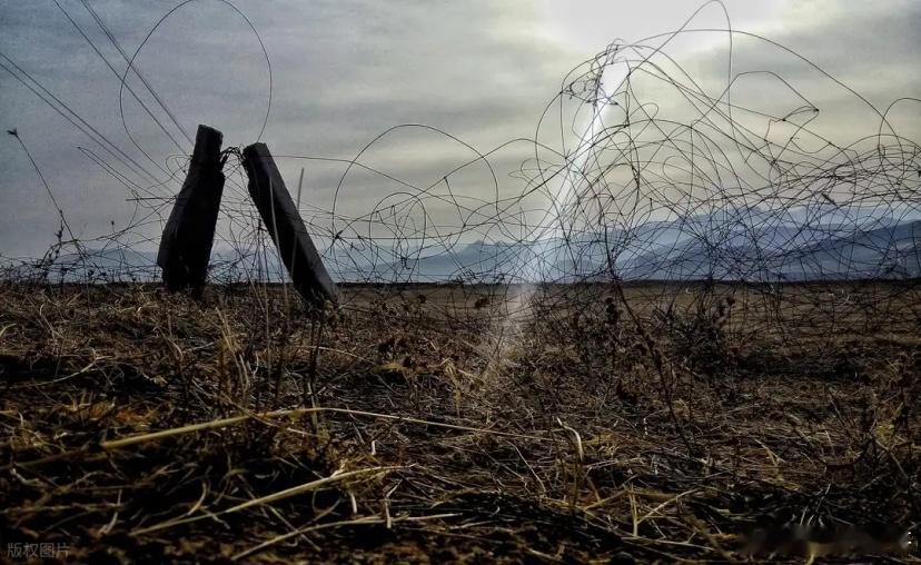 2月5日A股策略：央行召开重要会议！警惕主力机构拉高减仓！专注A股市场每日实战操