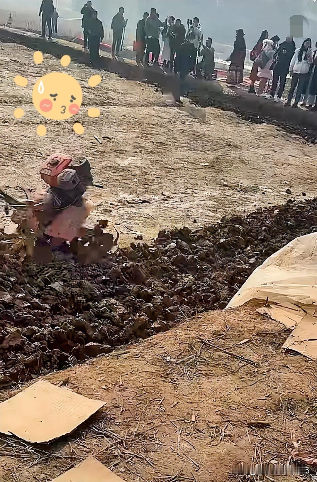 呆呆家今天动工了！
不是修房子，
而是把这几天被上万人踩板实的耕地刨松，估计要整