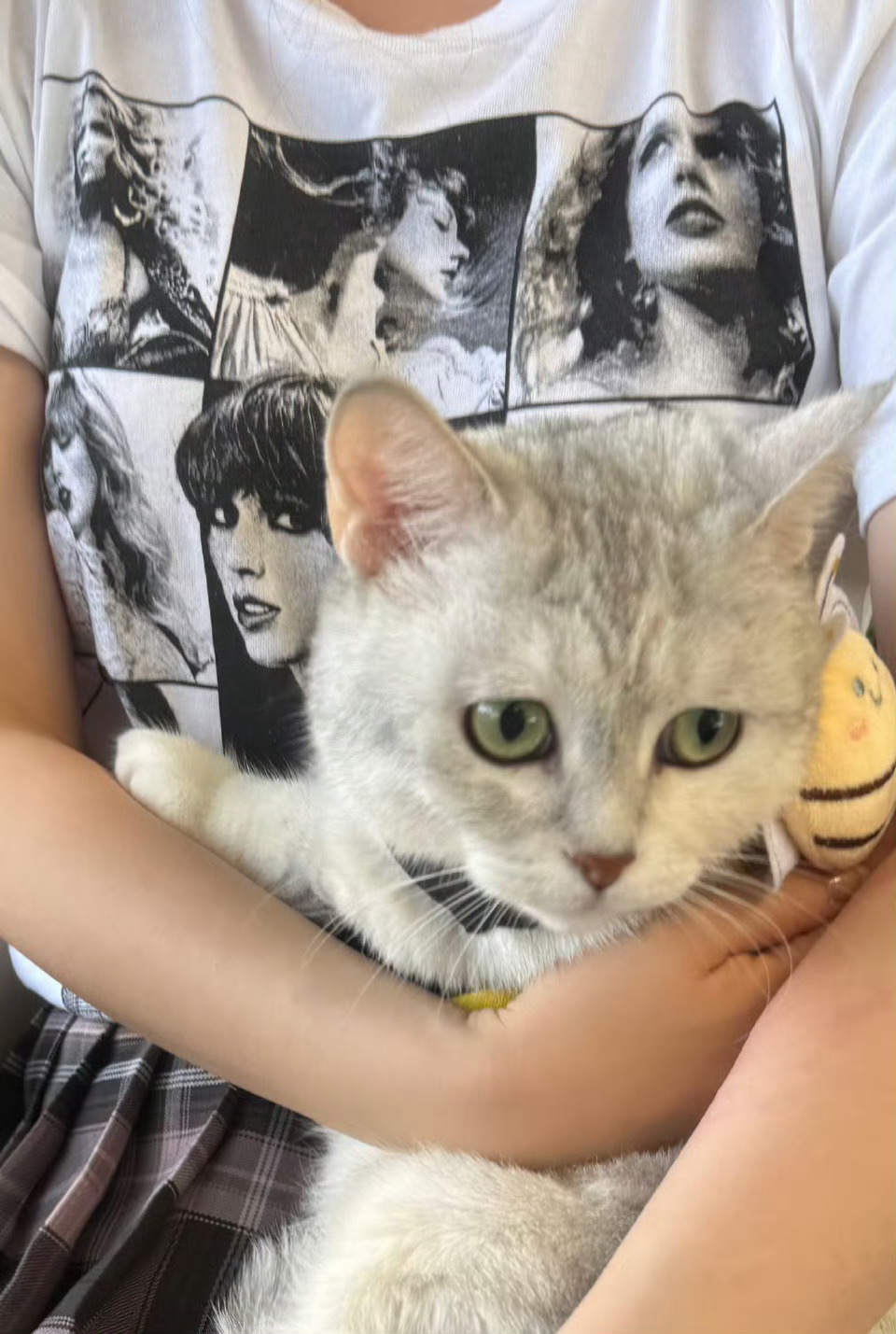 今天是国际猫咪日 🐱愿天下所有的小咪都安全长大，饱暖无忧支持反虐待动物立法