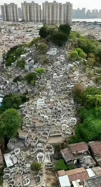 现在为什么不准土葬……这也许就是最好的答案吧？ 