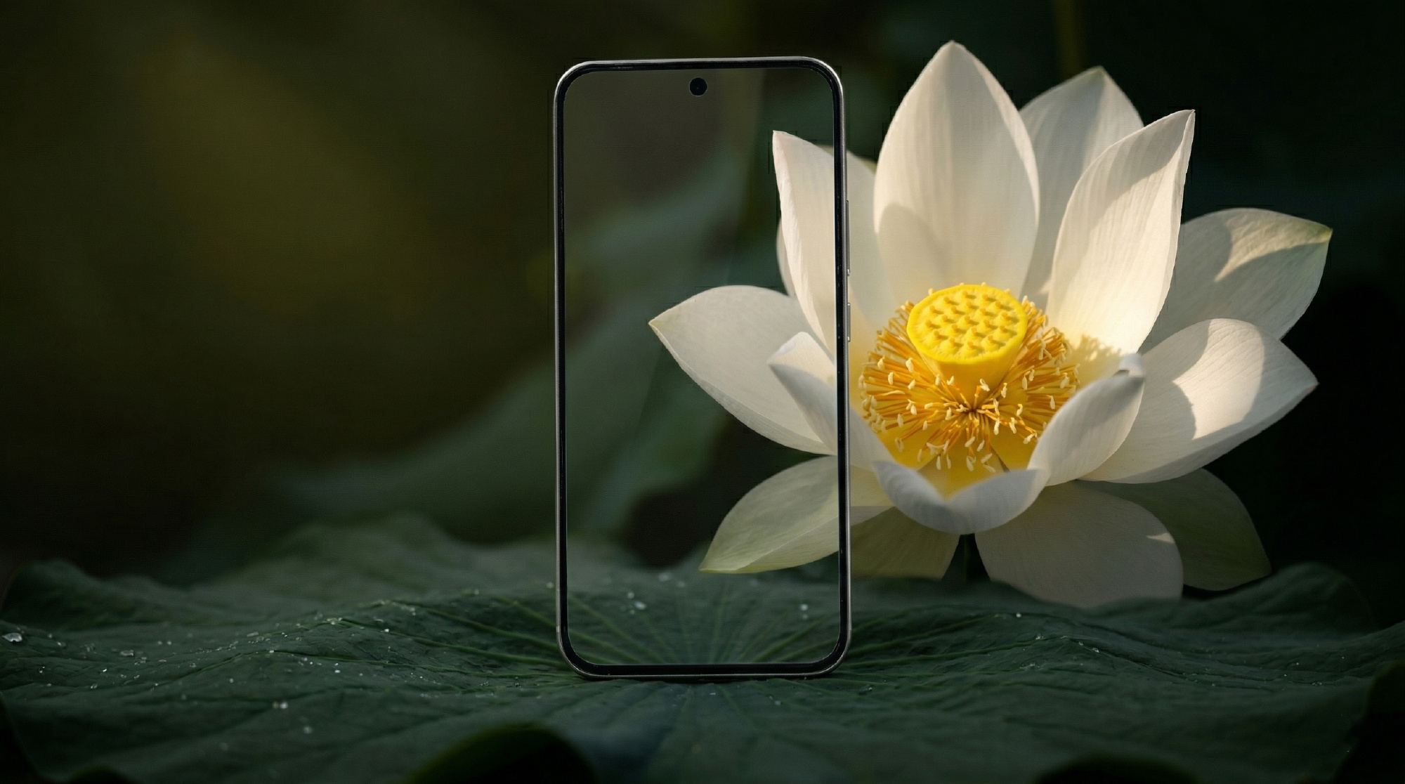 来一组OPPO A6s Pro好运莲莲的真机图赏，颜值真的高