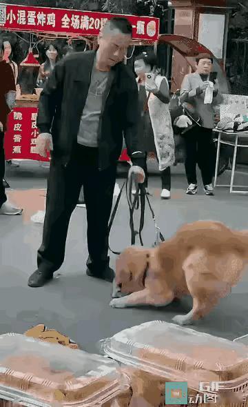 太离谱！
         小狗疼得不停惨叫，大狗主人却死死拦住想要帮忙的路人，