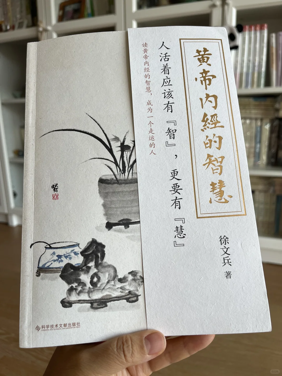 读书笔记～徐文兵《黄帝内经的智慧》