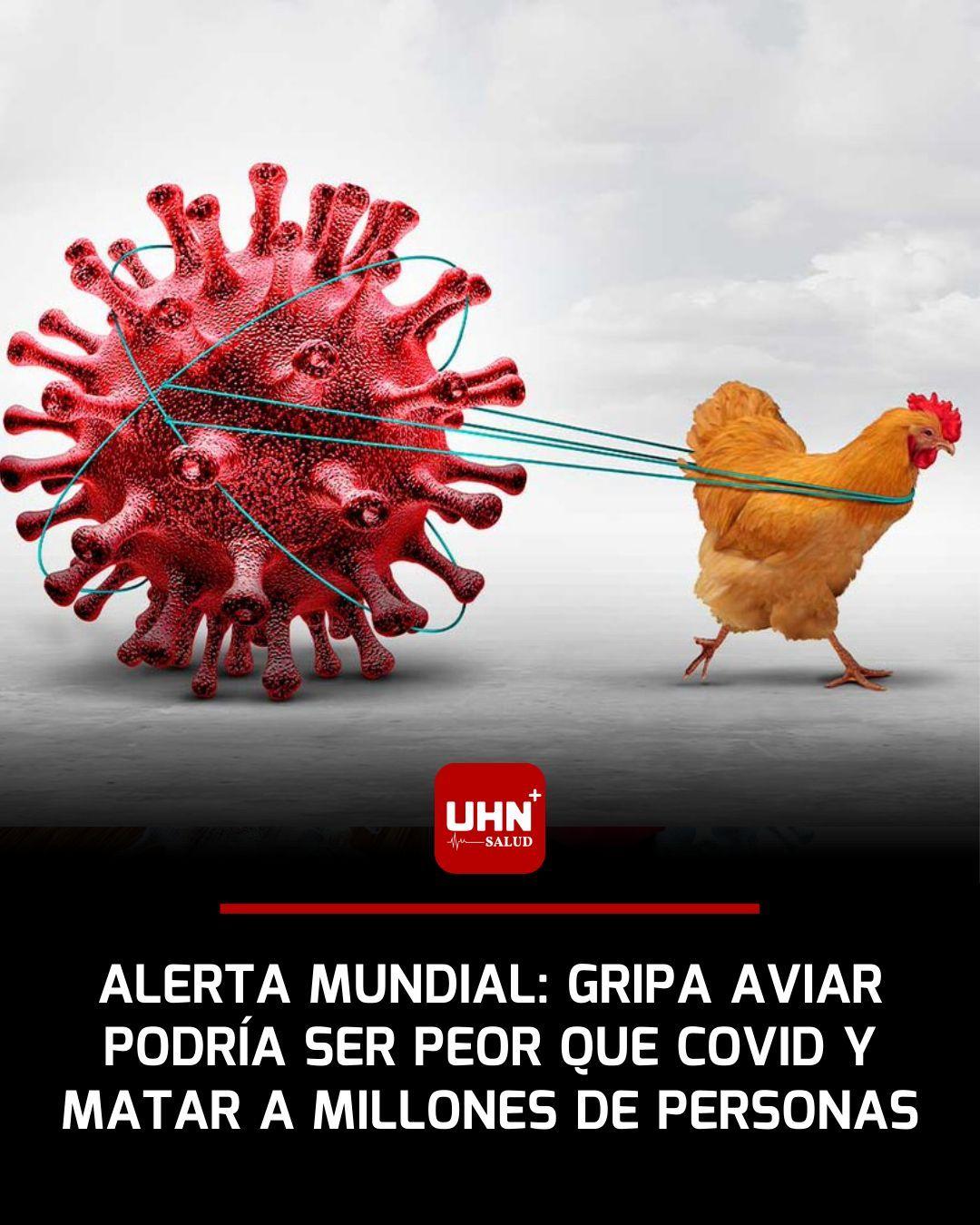 法国巴斯德研究所的玛丽-安娜·拉梅克斯-韦尔蒂警告称，当前在美国野生鸟类、家禽以