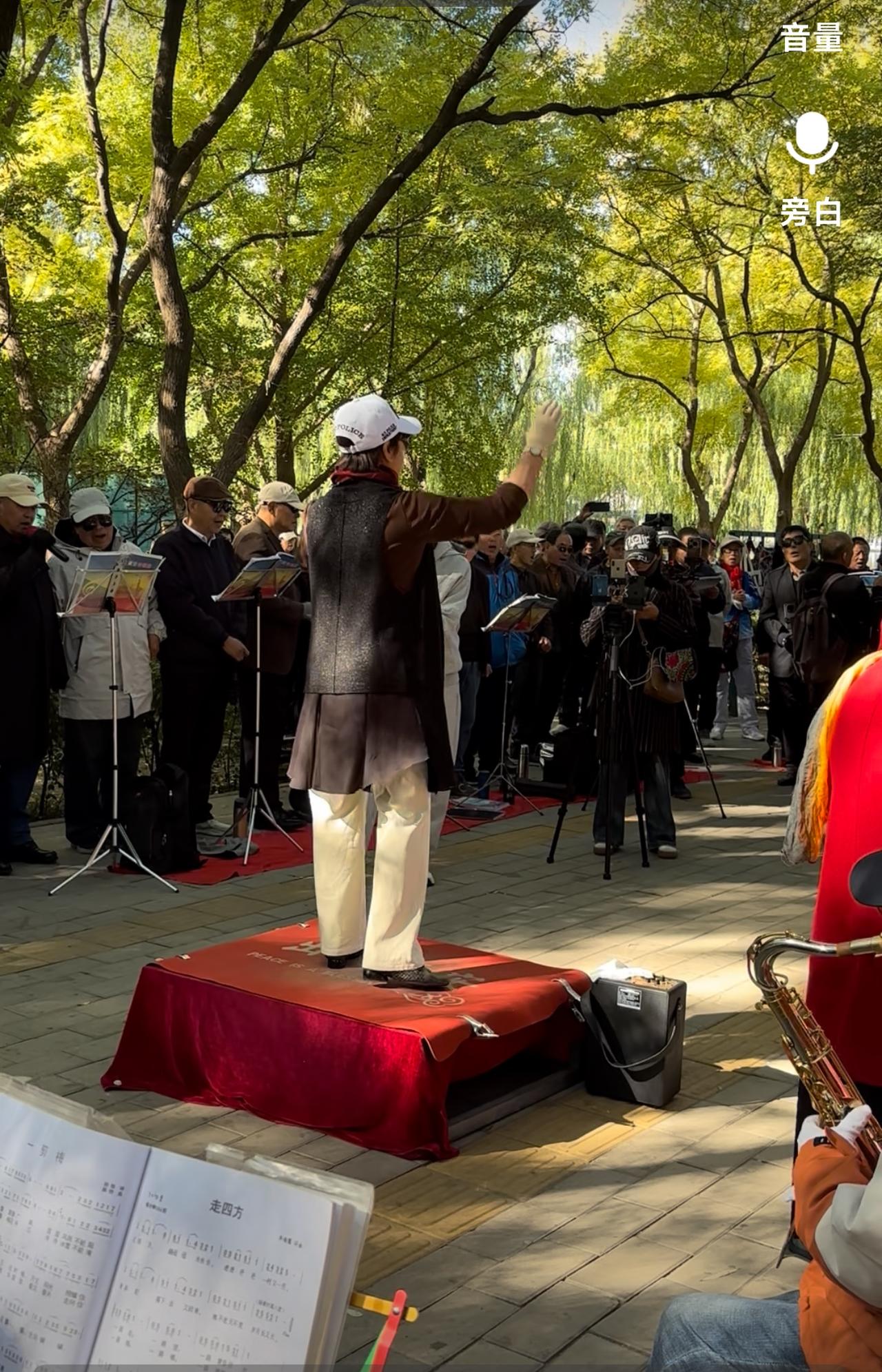 在北京莲花池公园东北小广场，每天都聚集着众多的音乐爱好者，人多时可达几百人，他们