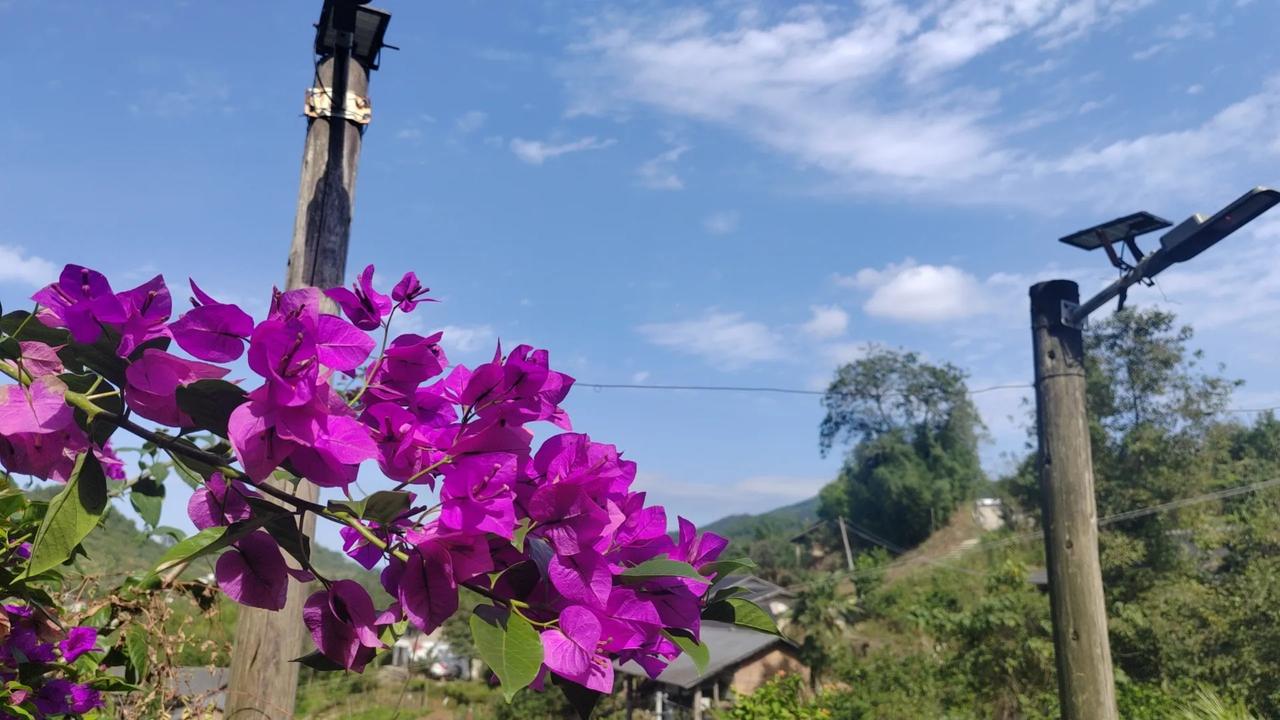 王胖做事，形式总大于内容。
直播间煞有介事地听取大家意见。
甲：骨头应该分装一下