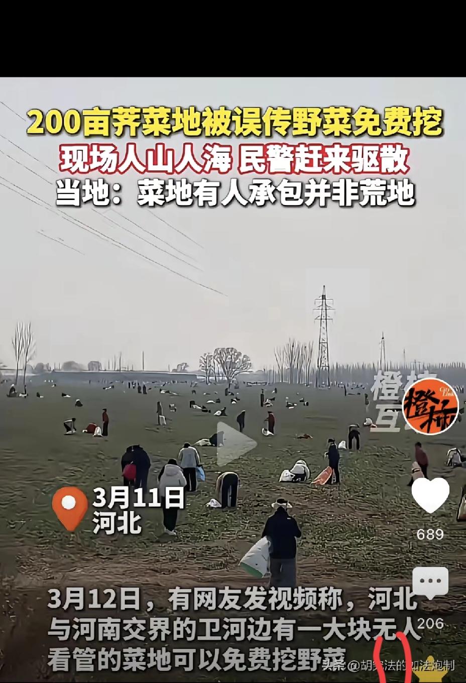 一句免费挖野菜，毁了200亩心血，损失真的只能自认倒霉吗
 
网上一条不负责任的