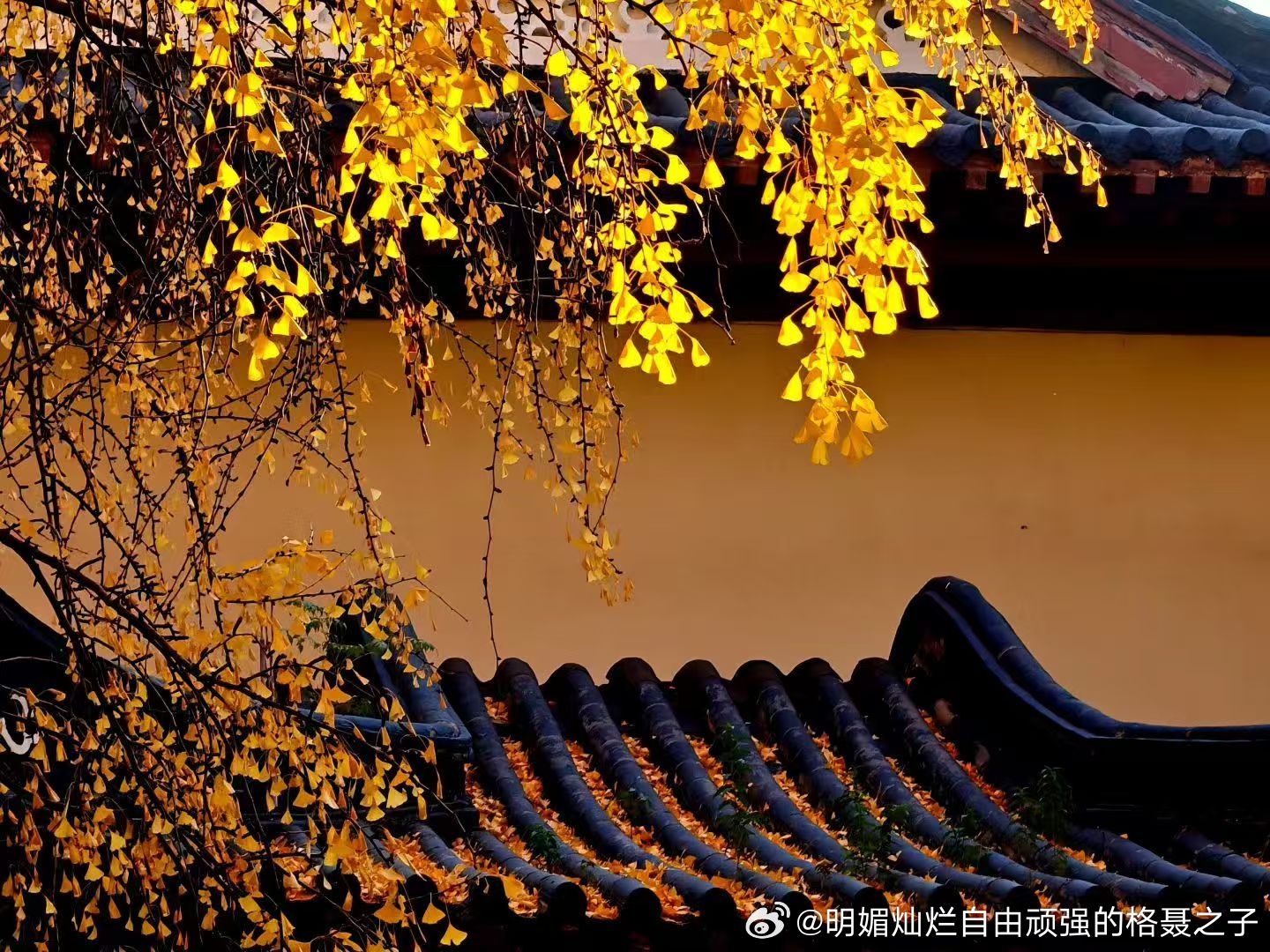 把昨夜乱梦叠好，换今日清风一沓。 