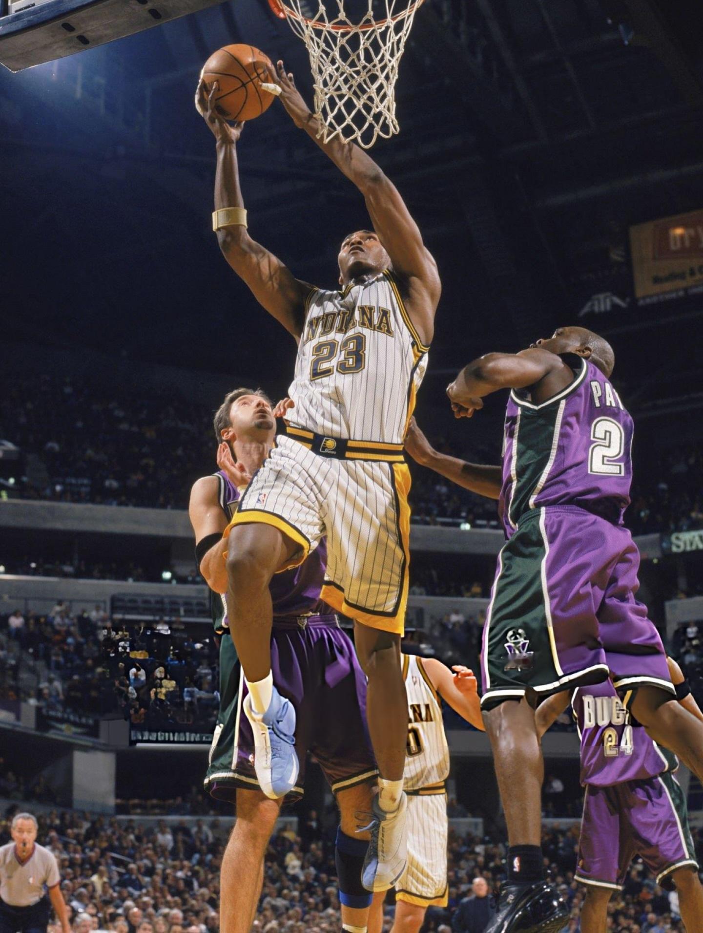 Ron Artest - Jordan Camp 23  