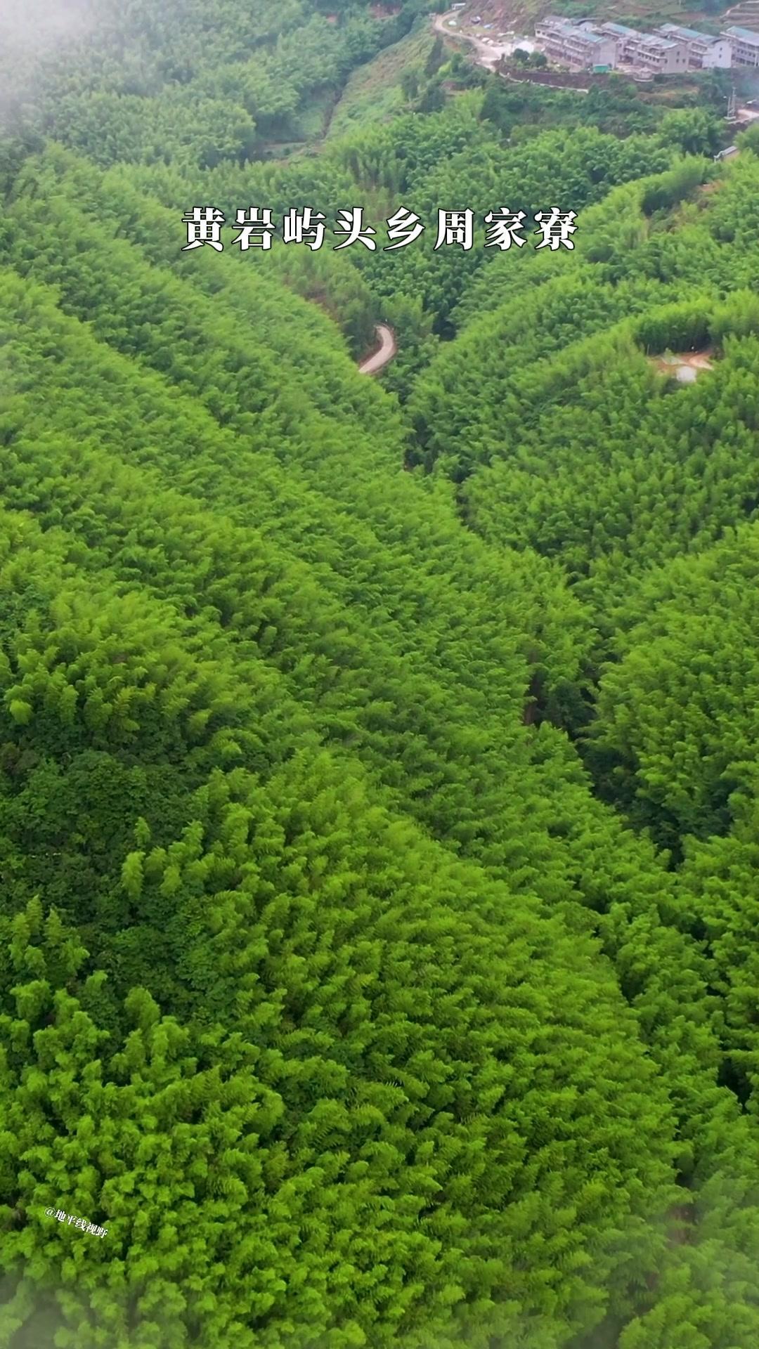 🌿大山深处藏着的神仙村落｜黄岩屿头乡周家寮
在山林小径里穿梭，不经意钻进周家寮