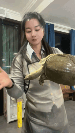 幸亏手快，
否则她就只有哭的份儿！