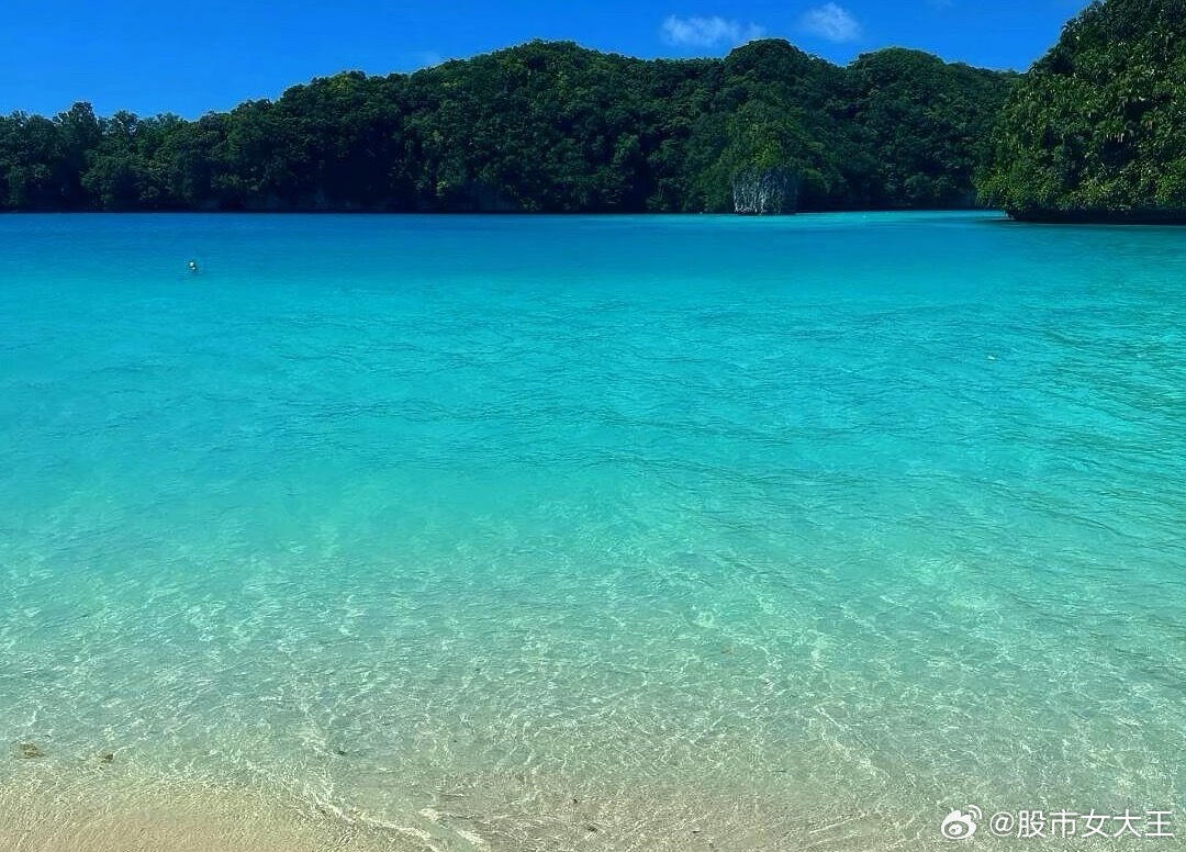 冲高回落假阴真阳是洗盘？明天还要创新高？早上冲高回落全天震荡，上下波动十来个点，