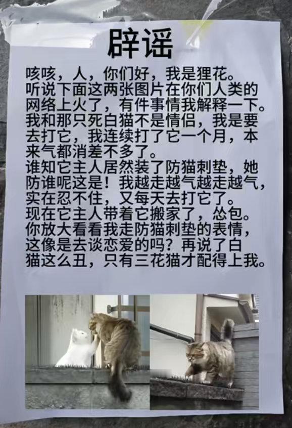 辟谣 