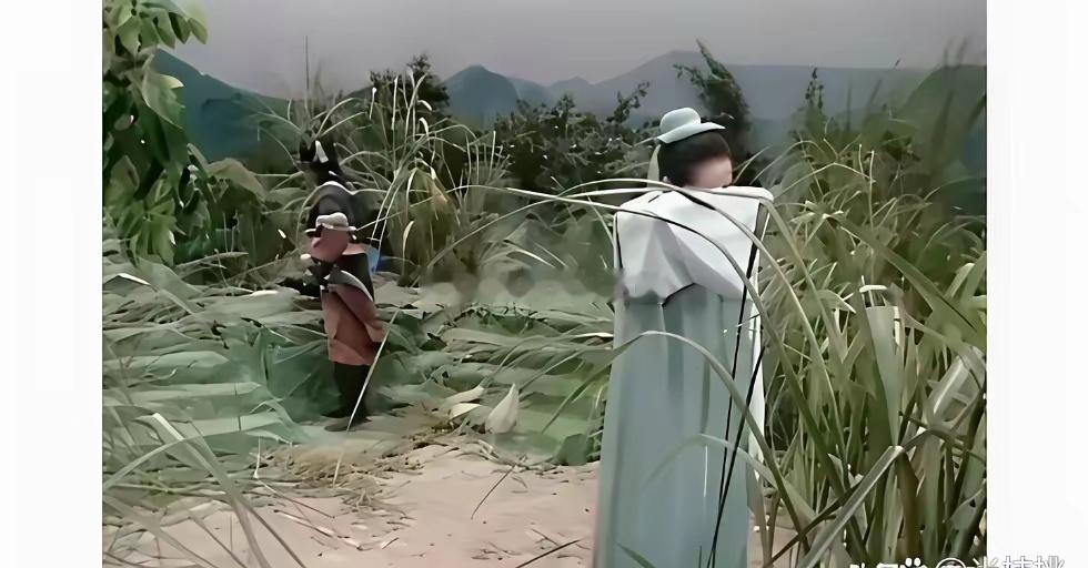 当年观众的宽容度属实是高，当看完这后面的山真的让人目瞪口呆的程度 ​​​