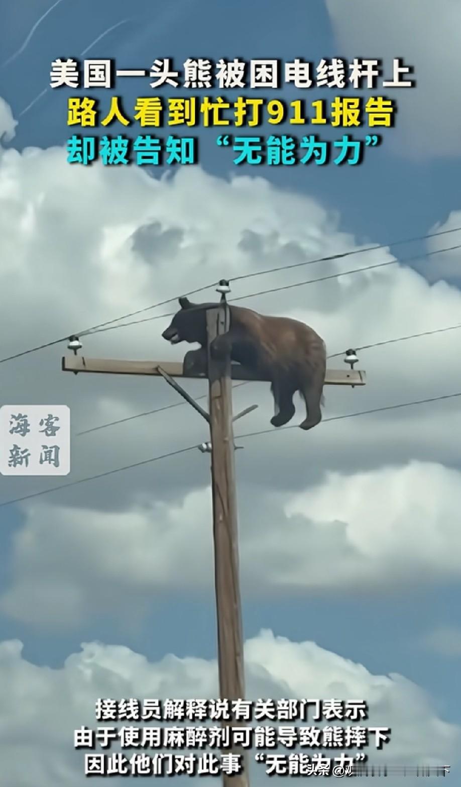 它是怎样上去的？