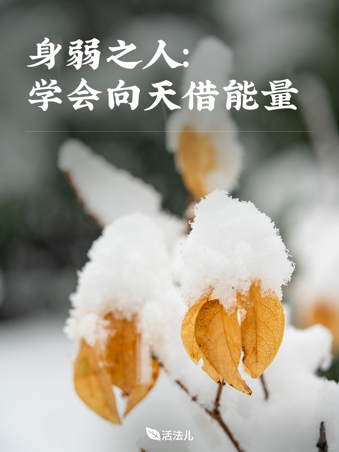 身弱之人，一定要学会向天借能量！