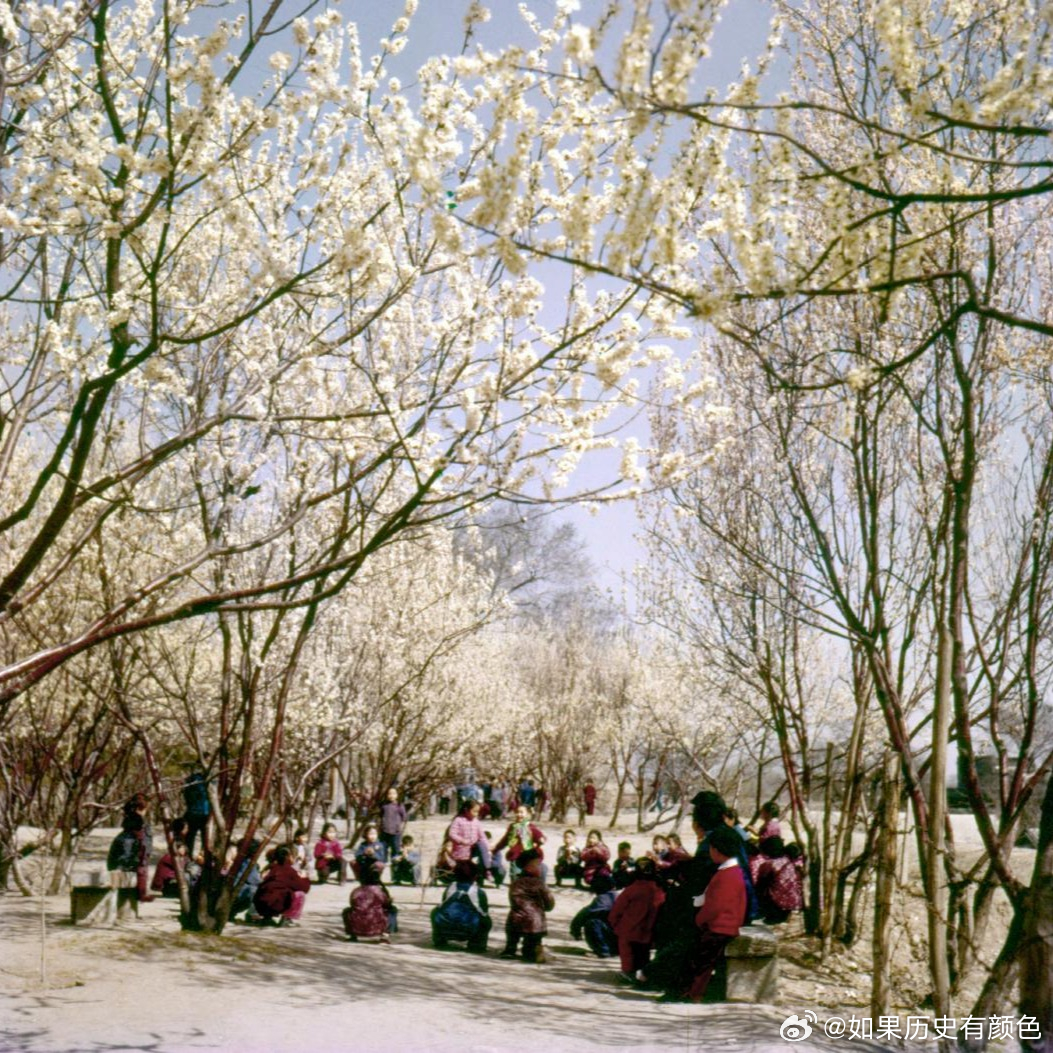 1960年，北京，孩子们在玩丢手帕游戏。摄影 敖恩洪 李兰英In 1960, i