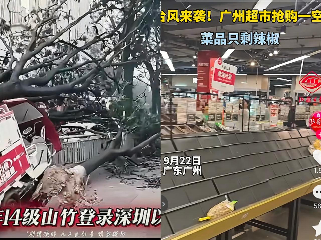 深圳不得气死了，
台风没来之前拼命砍树！一下子可把道路两旁的树砍得光秃秃的，真不