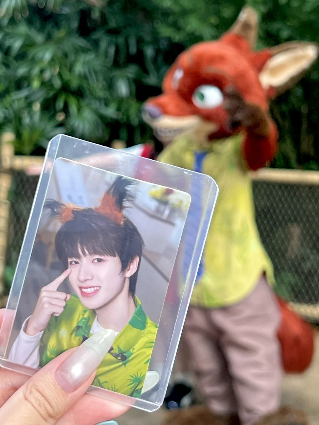 来迪士尼我只做一件事情…🦊
