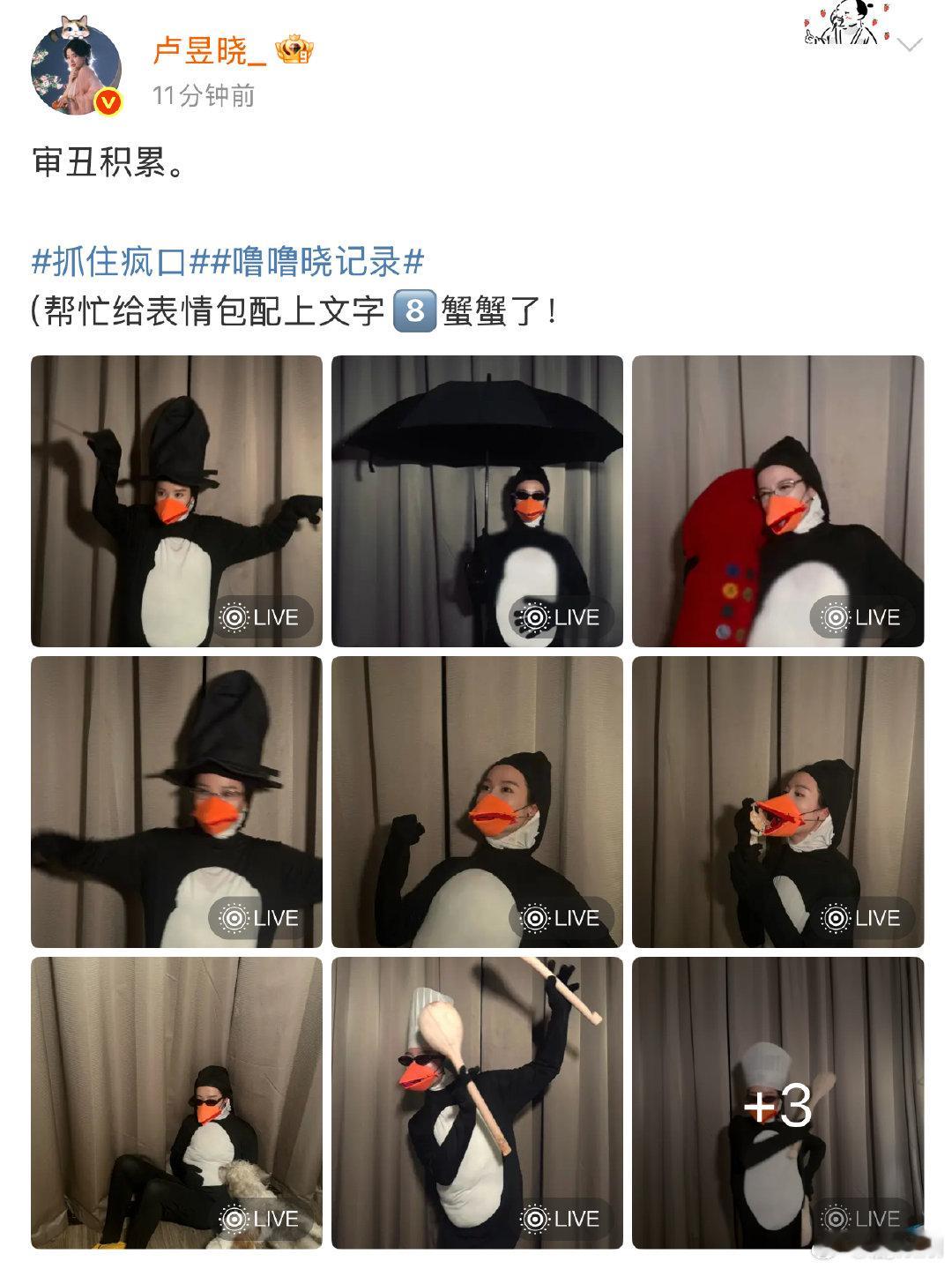 卢昱晓cos高雅企鹅表情包 卢昱晓cos高雅企鹅表情包，好有创意啊！卢昱晓好抽象