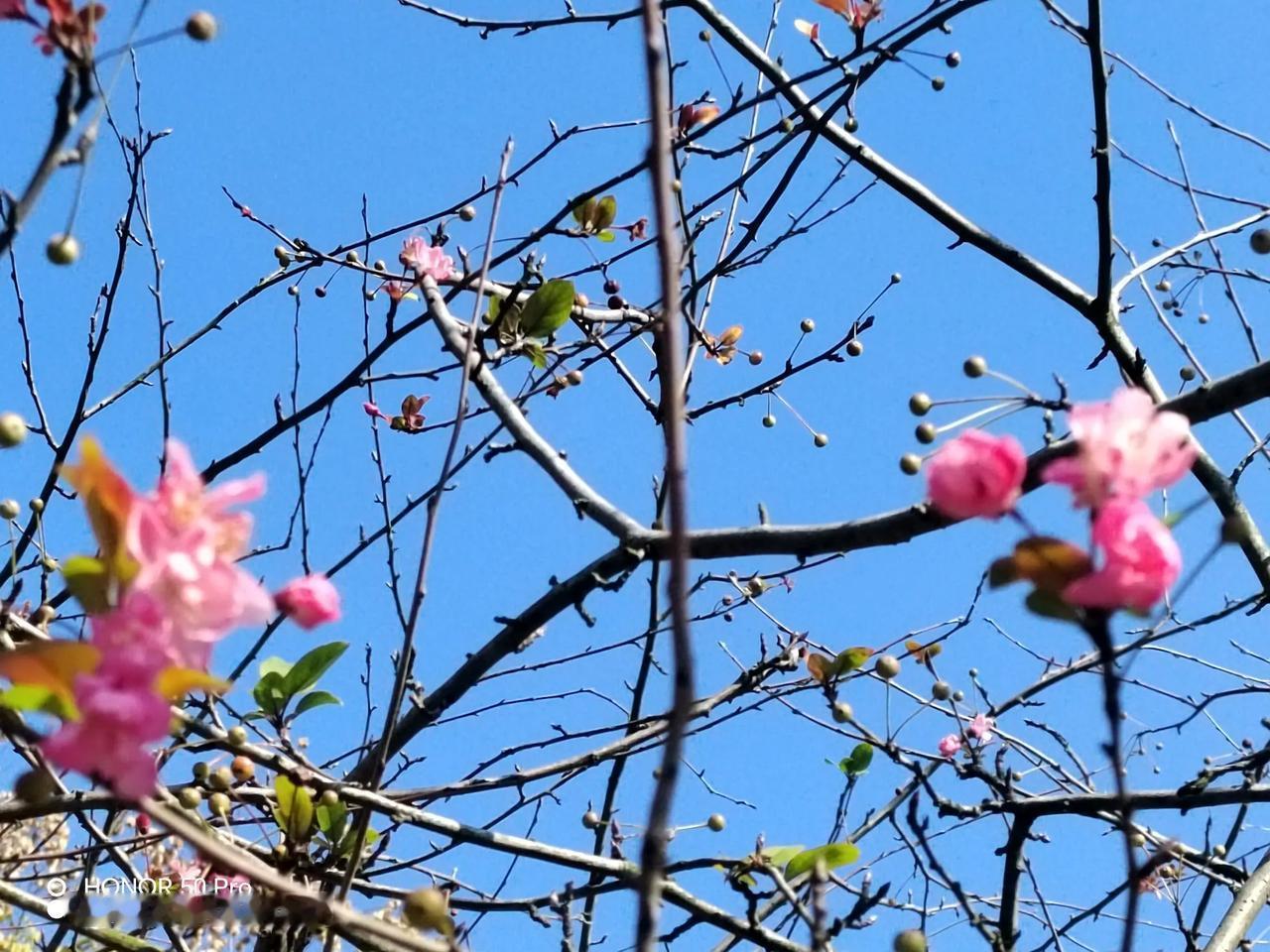 行走在冬日的贴沙河畔

冬日的阳光
如金色的轻纱
轻轻披在贴沙河的肩头
我走进公